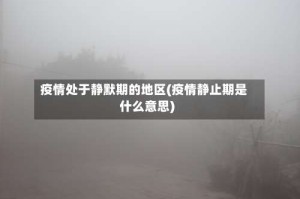 疫情处于静默期的地区(疫情静止期是什么意思)