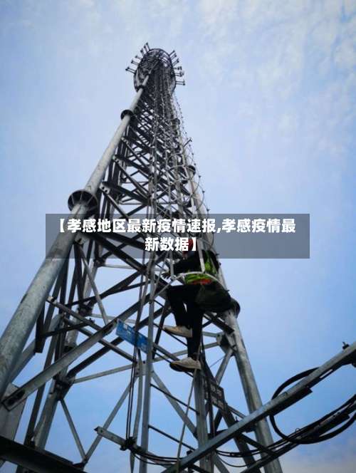 【孝感地区最新疫情速报,孝感疫情最新数据】-第2张图片