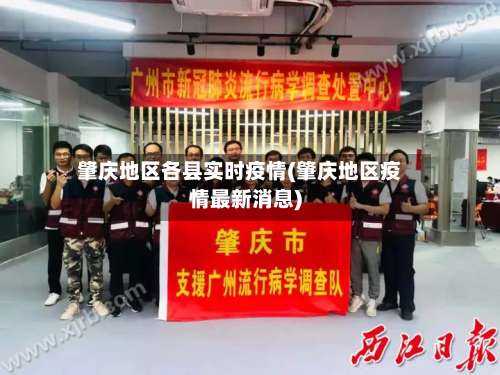 肇庆地区各县实时疫情(肇庆地区疫情最新消息)-第1张图片