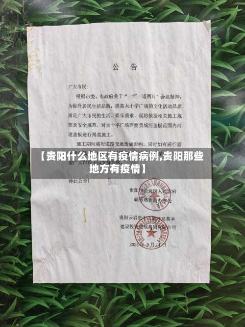 【贵阳什么地区有疫情病例,贵阳那些地方有疫情】-第1张图片