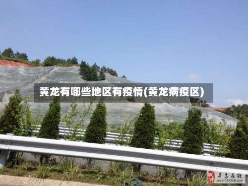黄龙有哪些地区有疫情(黄龙病疫区)-第3张图片