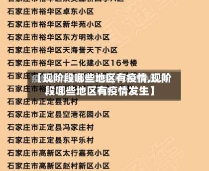 【现阶段哪些地区有疫情,现阶段哪些地区有疫情发生】-第2张图片