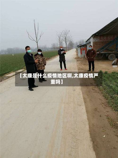 【太康是什么疫情地区啊,太康疫情严重吗】-第2张图片