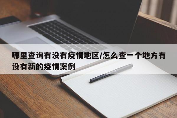 哪里查询有没有疫情地区/怎么查一个地方有没有新的疫情案例